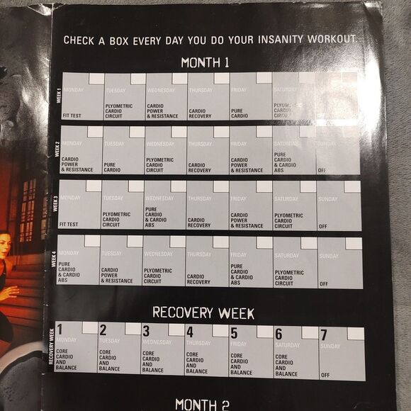 Insanity: 60 Day Total Body Workout Program 10 Disc, DVD Set Shaun T, Beachbody - Picture 11 of 14